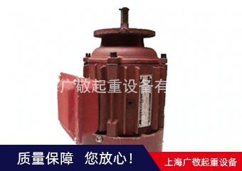江蘇總廠電機  6級電機 8級電機廠家批發